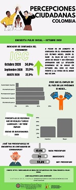 Percepciones ciudadanas Num 11  25 noviembre 2020